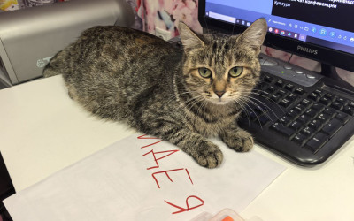 Информационно – организационная встреча с лидером  по направлению «Просвещение, нематериальное наследие»