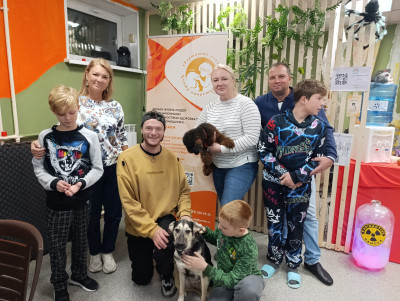 Рубрика «Семейные встречи» г. Челябинск. Центр канистерапии «Хвостатый ангел».
