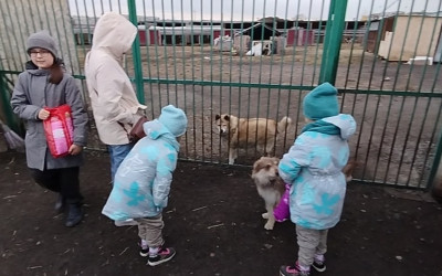 Акция «Доброе сердце» г. Курган, г. Челябинск.