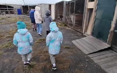 Акция «Доброе сердце» г. Курган, г. Челябинск.