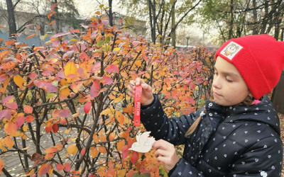 Мастер класс &laquo;Кормушка для белочек и птиц&raquo;