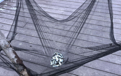 Рубрика &laquo;Семейные встречи&raquo; г. Челябинск. Удочки, улов и улыбки: как семьи проекта ловили настроение на осенней рыбалке.