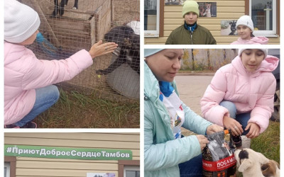 "Доброе сердце РЖД"