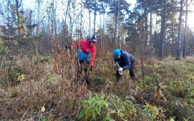 Дорожный семейный клуб «Горьковский» провел мастер-класс по волонтерству и дружной подготовке к Новому году!