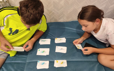 Подготовка  интеллектуальной игры "Платформа № 7"